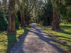 249-bochum - flower cemetery