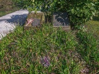 081-dortmund - east cemetery