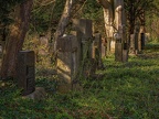247-dortmund - east cemetery