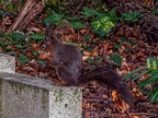 308-dortmund - east cemetery