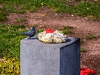 035-duisburg - cemetery sternbuschweg
