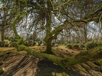 0314-duisburg - cemetery sternbuschweg