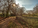 0317-duisburg - cemetery sternbuschweg
