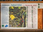 001-essen - city forest cemetery kettwig