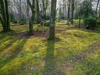 159-duesseldorf - forest cemetery gerresheim