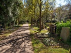 0387-cologne melaten cemetery