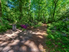 052-duisburg forest cemetery