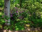 062-duisburg forest cemetery
