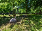 116-duisburg forest cemetery