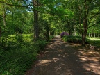 123-duisburg forest cemetery