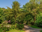 160-duisburg forest cemetery