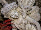 192-duisburg forest cemetery