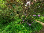 103-dortmund romberg park botanical garden