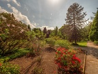 126-dortmund romberg park botanical garden