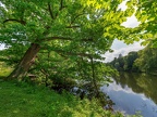 220-dortmund romberg park botanical garden
