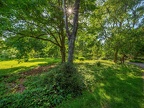 251-dortmund romberg park botanical garden