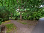 089-essen - karnap cemetery