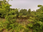 006-rhein sieg district
