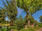 0533-iserlohn - main cemetery