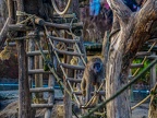 007-zoom adventure world - gelsenkirchen - park