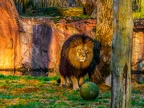 080-zoom adventure world - gelsenkirchen - park