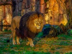 081-zoom adventure world - gelsenkirchen - park