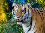 246-zoom adventure world - gelsenkirchen - park