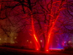 007-essen-grugapark-park lights-2024