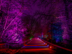 108-essen-grugapark-park lights-2024